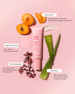 Sand & Sky Tinted Glow Primer SPF30 Tube with the raw ingredients and their effects
