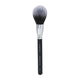 Sigma Beauty F24 All-Over Powder Brush