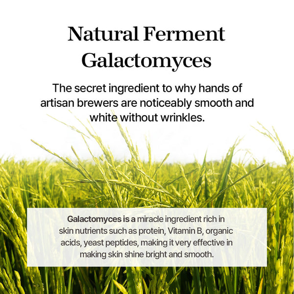 Mixsoon Galactomyces Ferment Essence for Dull, Tired & Uneven Skin 100ml