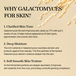 Mixsoon Galactomyces Ferment Essence for Dull, Tired & Uneven Skin 100ml