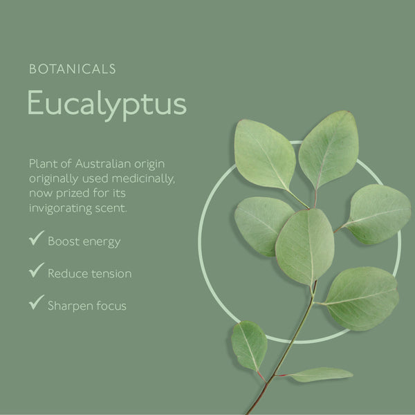 ARRAN Awaken Mint & Eucalyptus Lotion Hand & Body