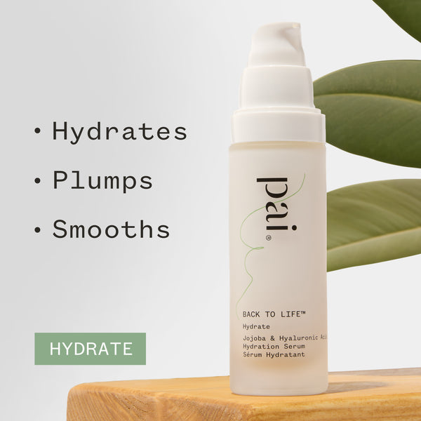 Pai Skincare Back to Life Jojoba and Hyaluronic Acid Hydration Serum