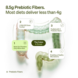 Diagram of the colon with prebiotic fibers highlighted, emphasizing 8.5g prebiotic fibers and their benefits.