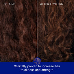 Augustinus Bader The Shampoo