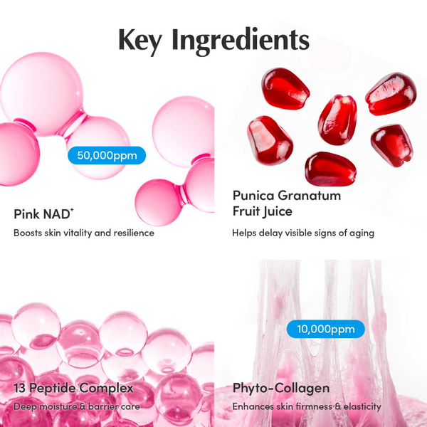 Eqqualberry Lush Blush NAD+ Peptide Boosting Cream 50ml
