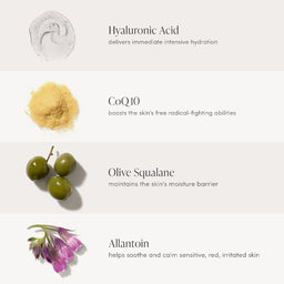 Skincare ingredients with text on a white background