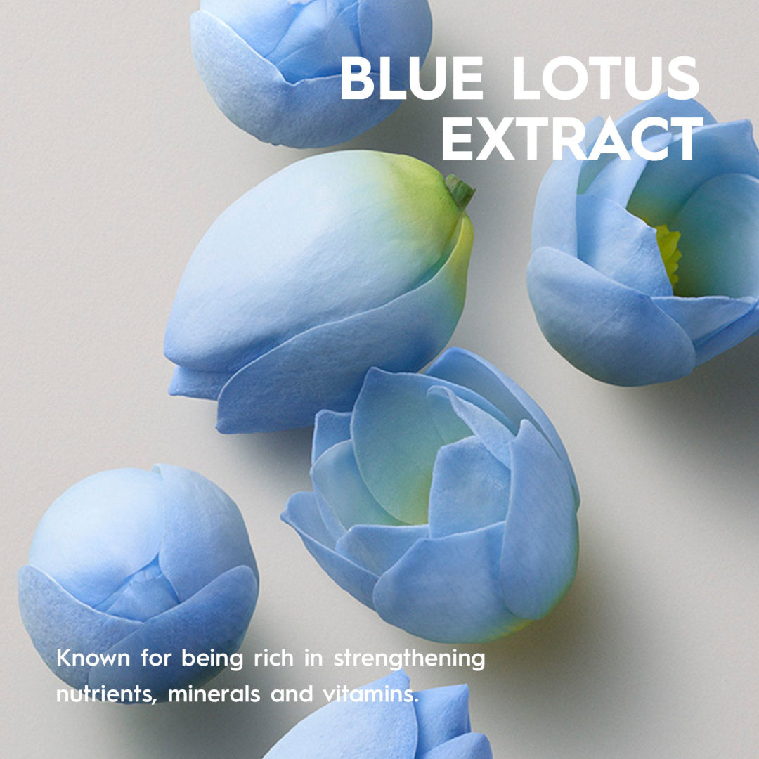 Blue lotus flowers with text about blue lotus extract on a light gray background