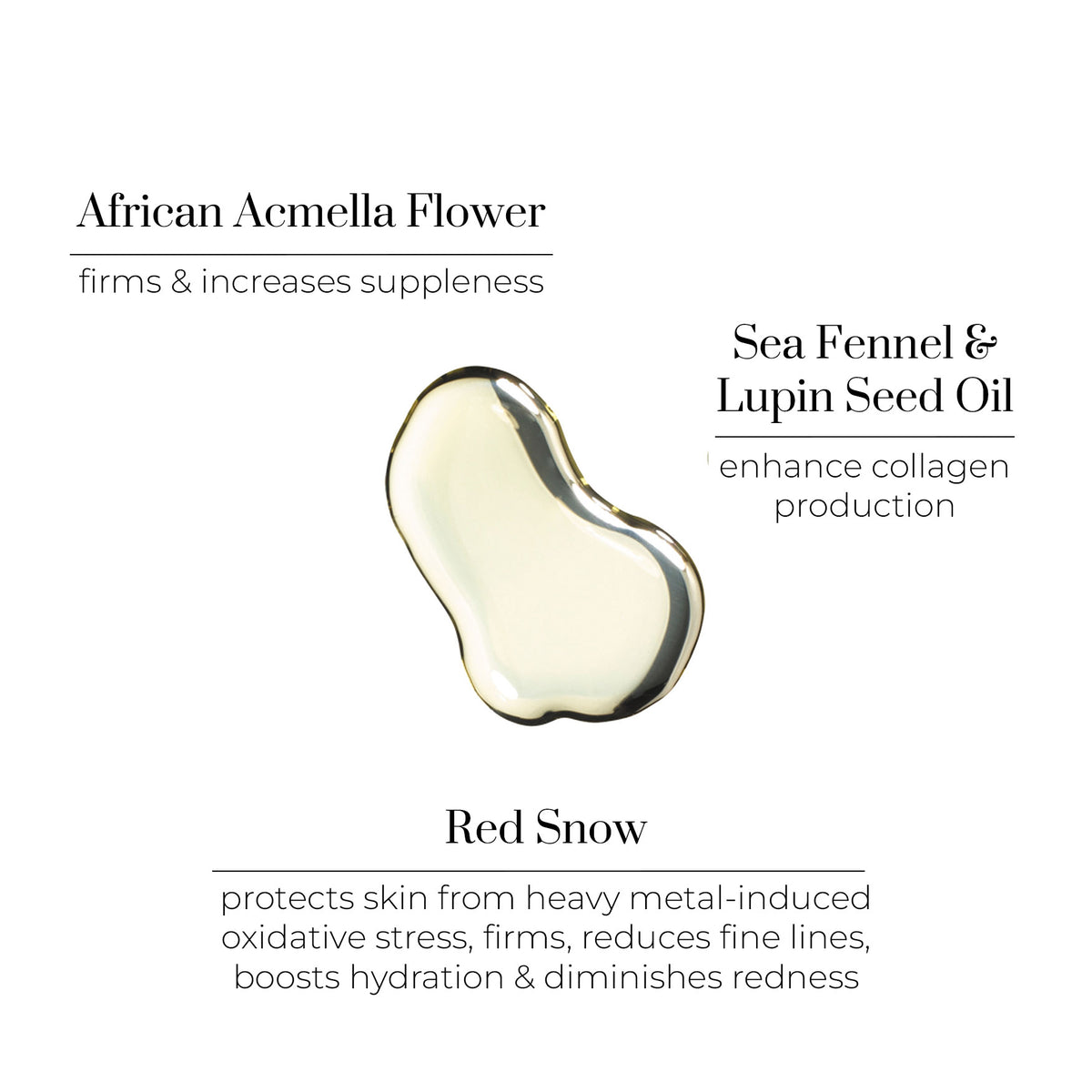 OSKIA Restoration Oil