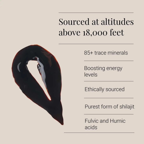 KIKI Health Himalayan Shilajit Resin 30g