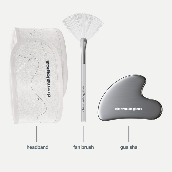 Dermalogica The Expertise Kit