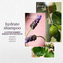 Pureology Hydrate Nourishing Shampoo 266ml